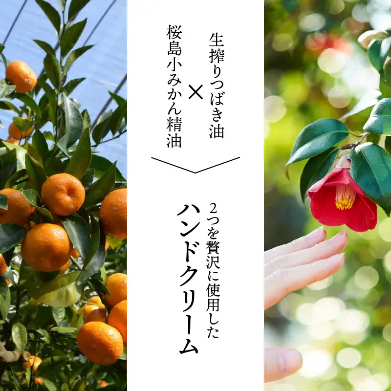 桜島つばきハンドクリーム 2本セット K062-014