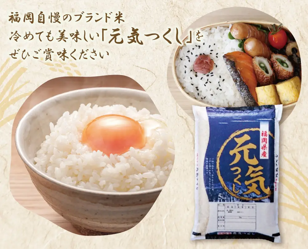 Z17-26 令和7年産 研ぐお米 元気つくし10kg