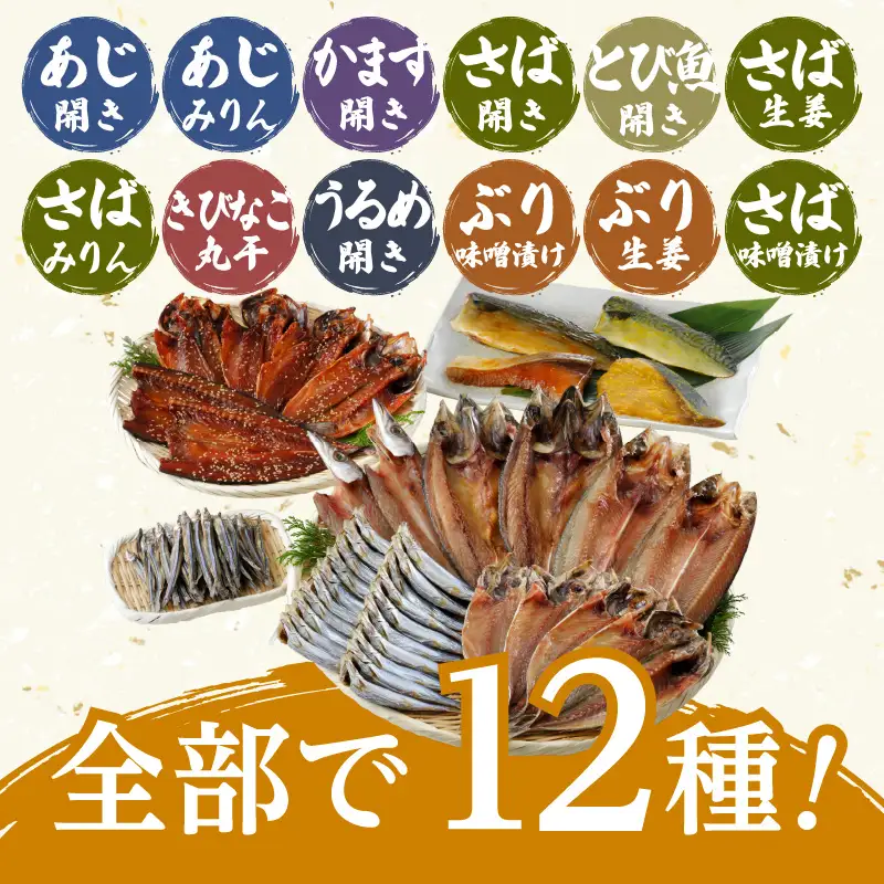 こしき海洋深層水仕立て 塩干物 12種 詰め合わせ （FS-02） K065-002 魚 冷凍
