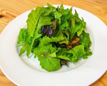 FV023_【飲食店御用達】有機JAS認証サラダリーフMix(500g×２袋　合計１ｋｇ）産地直送 新鮮野菜
