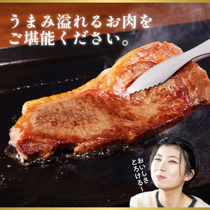 宮崎牛サーロインステーキ N023-YZC006
