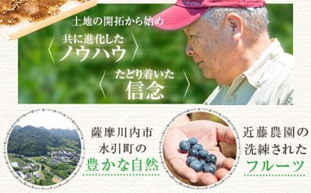 CS-008　【先行予約】天然はちみつ 780g（130g×6個）【6月以降順次発送】 (H-21)