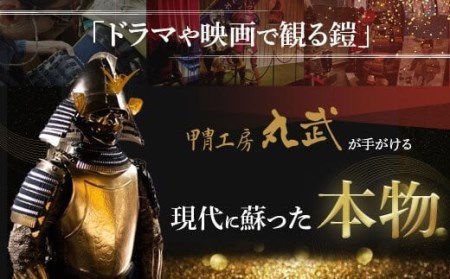 SS5-001 豊臣秀吉 稚児鎧具足(子供鎧)