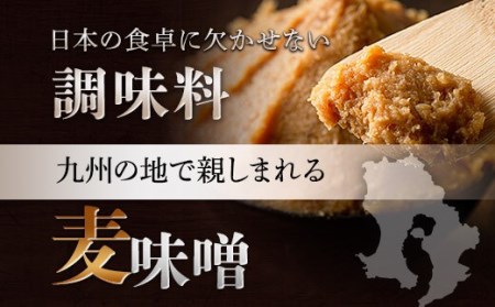 AS-130 育てる麦味噌 ｢でけたはな｣ 計4kg(2kg×2)