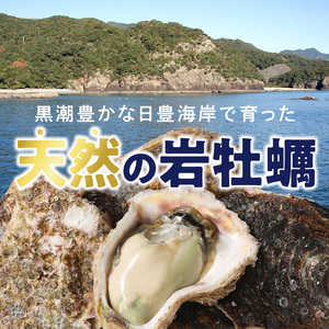 延岡産天然岩牡蠣（生食用）10kg（大）（2026年4月15日から発送開始）N036-YZD027