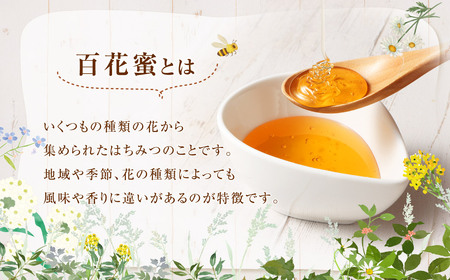 【純粋国産はちみつ】 鹿児島県産 れんげ蜜 600gと 百花蜜 600g 2本セット 国産 はち蜜 はちみつ BS-867