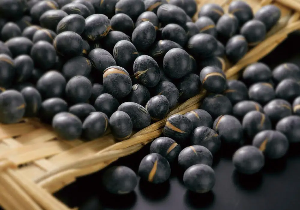 【最短翌日から３営業日以内発送】北海道 黒豆茶 2袋セット 計650g 【 お茶 茶 飲料 飲み物 黒豆茶 黒豆 国産黒豆 ノンカフェイン 風味豊か 北海道 旭川 】_02123