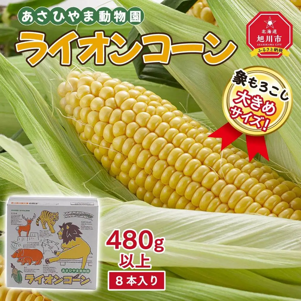 【先行予約】象もろこし（ライオンコーン）大きいサイズのトウモロコシ　480ｇ以上8本入り(2025年8月下旬～発送開始) | トウモロコシ  _01412