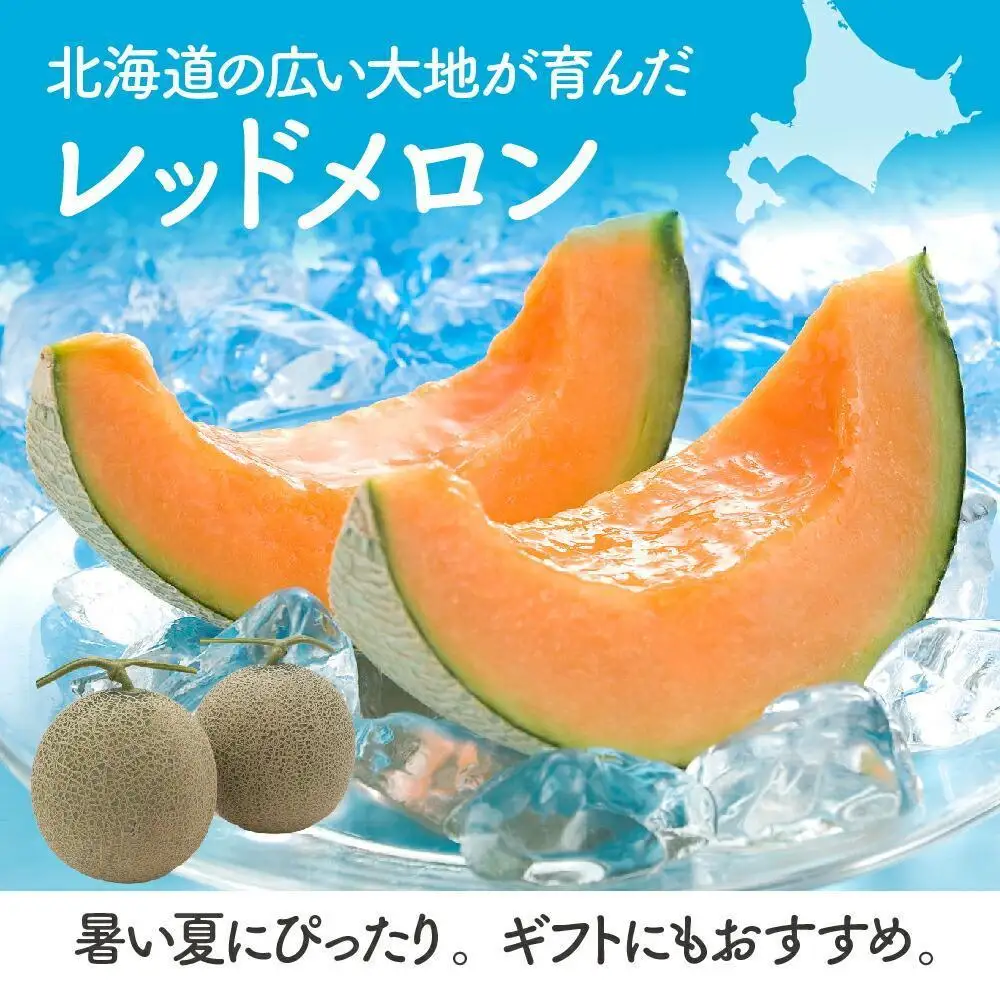 香り豊かな 北海道レッドメロン 1.6kg×2玉（2027年7月下旬から発送開始）| メロン _01381