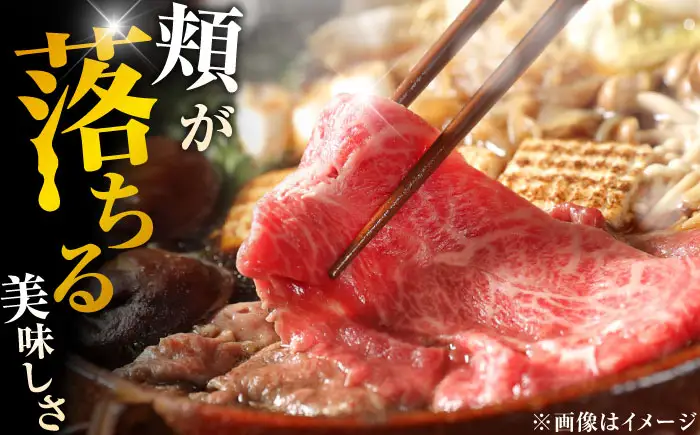 佐賀牛 すきやき用 500g すきやき しゃぶしゃぶ[FDB015]