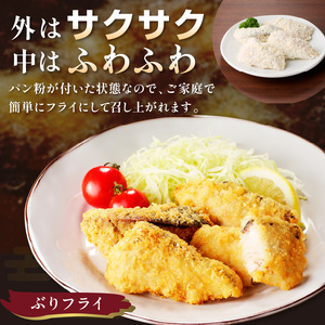 ぶりづくし詰合せ【B4-105】