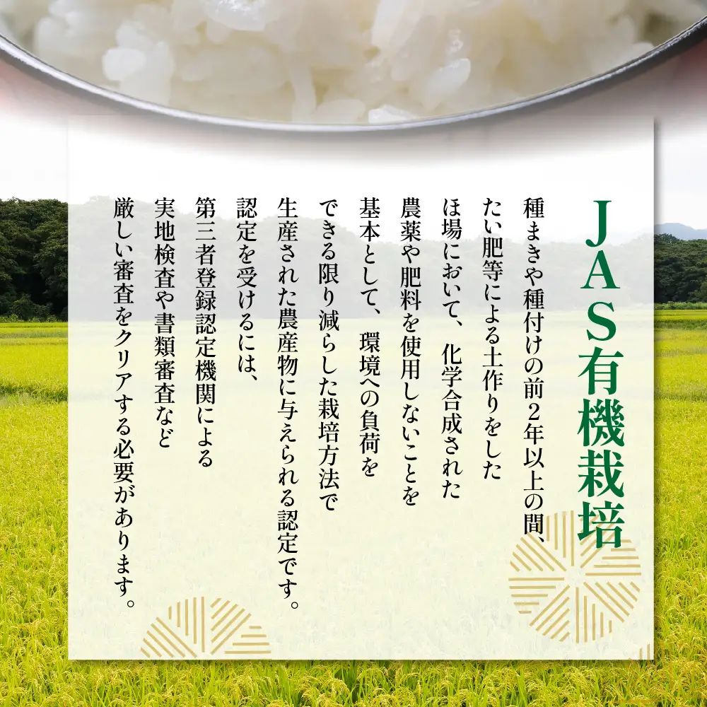 【 令和7年産 】 JAS有機栽培 つや姫 計4kg ( 2kg×2袋 ) ※玄米可〔2025年11月上旬頃～順次お届け〕 2025年産 産地直送 農家直送 ブランド米