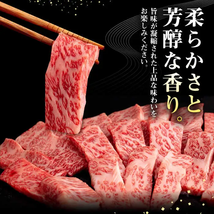 【全3回定期便】 壱岐牛 焼肉用 バラ（カルビ）500g《壱岐市》【株式会社イチヤマ】 肉 牛肉 焼肉 バラ カルビ BBQ [JFE022] 90000 90000円