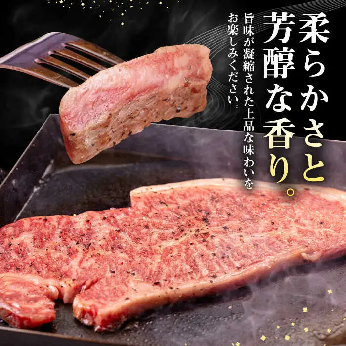 【全6回定期便】 壱岐牛 サーロインステーキ 400g（200g×2枚）《壱岐市》【株式会社イチヤマ】 肉 牛肉 サーロイン ステーキ 焼肉 BBQ [JFE029] 156000 156000円
