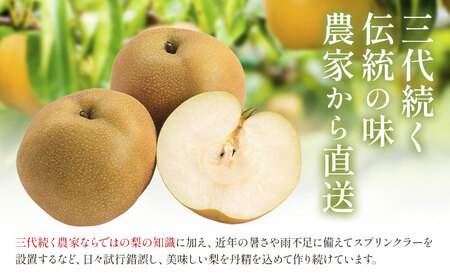 梨 幸水 10kg 矢畑むらづくり組合 【栃木県共通返礼品　栃木県産】