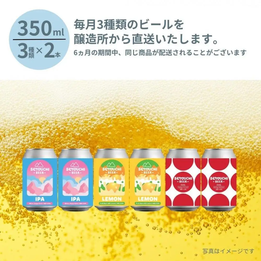 【定期便】クラフトビール定期便 毎月6缶 6ヵ月