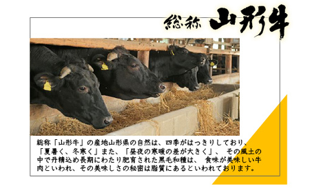 みちのくの特級品『山形牛（A5ランク）ロースすき焼き用500g』 ブランド牛 和牛 国産 牛肉 サシ 最高級 贅沢 F4A-0084