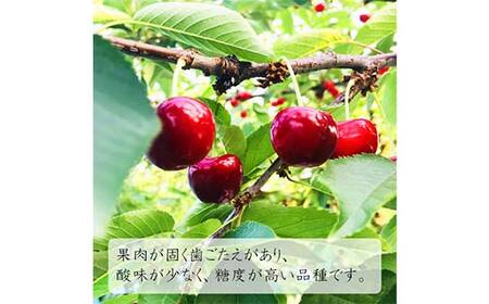 《2027年先行予約》山形県 中山町産 さくらんぼ 《紅秀峰特秀品》 700g 2Lサイズ以上 数量限定 山形県産 サクランボ フルーツ 果物 くだもの おすすめ F4A-0102