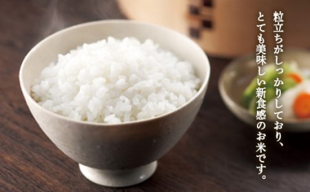 【定期便】【令和7年度産】 山形県産 雪若丸無洗米 5kg×2袋計10kg×3回 ブランド米 こめ ご飯 ごはん 白米 毎月届く エコ 節水 便利 F4A-0519