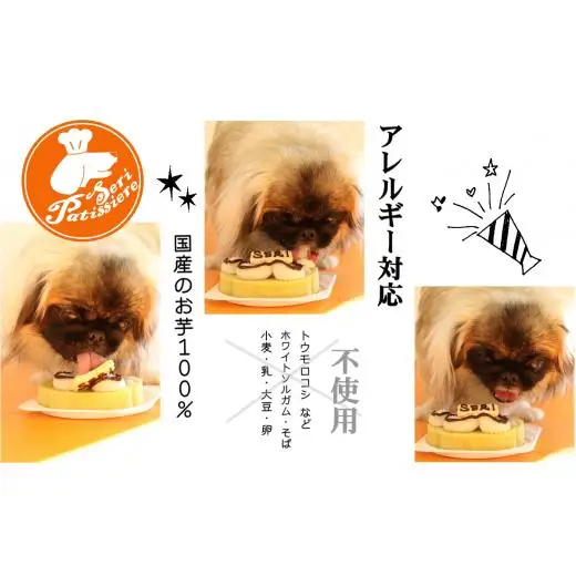 犬用ケーキ・アレルギーフリーDecoパウ・獣医師監修