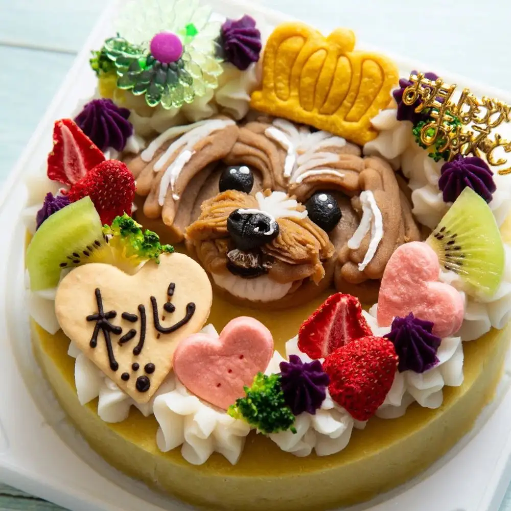 【ふるさと納税限定商品】犬用似顔絵ケーキ　アレルギー対応・獣医師監修