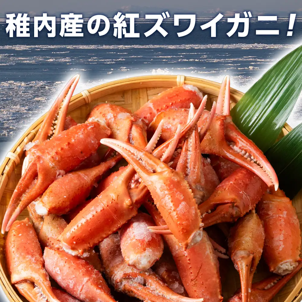 稚内産 紅ズワイガニ 爪 1kg あふれ出すカニの旨味が至高の爪肉 海鮮【配送不可地域：離島・沖縄県】