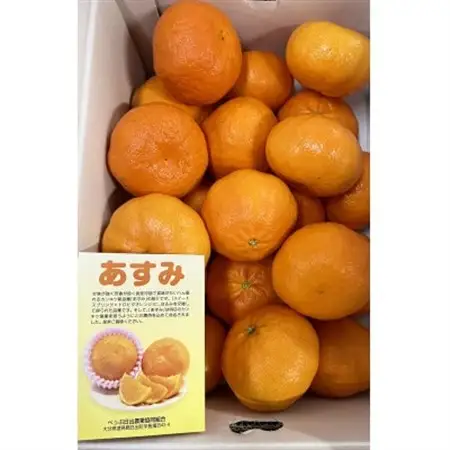 【2027年2月下旬より発送】あすみ  約5kg(ダンボール箱入り)_果物・フルーツ  柑橘 _【1402180】