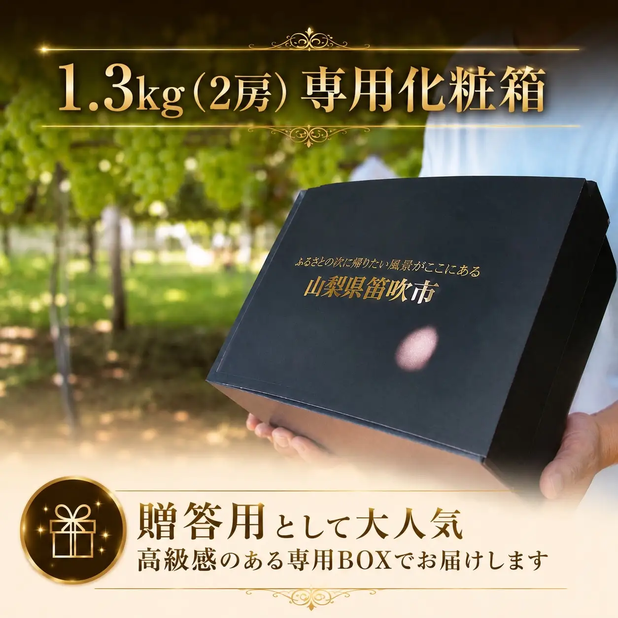 【2026年発送★先行予約】フルーツ王国笛吹市のシャインマスカット2房1.3kg クール便配送 137-001-26y