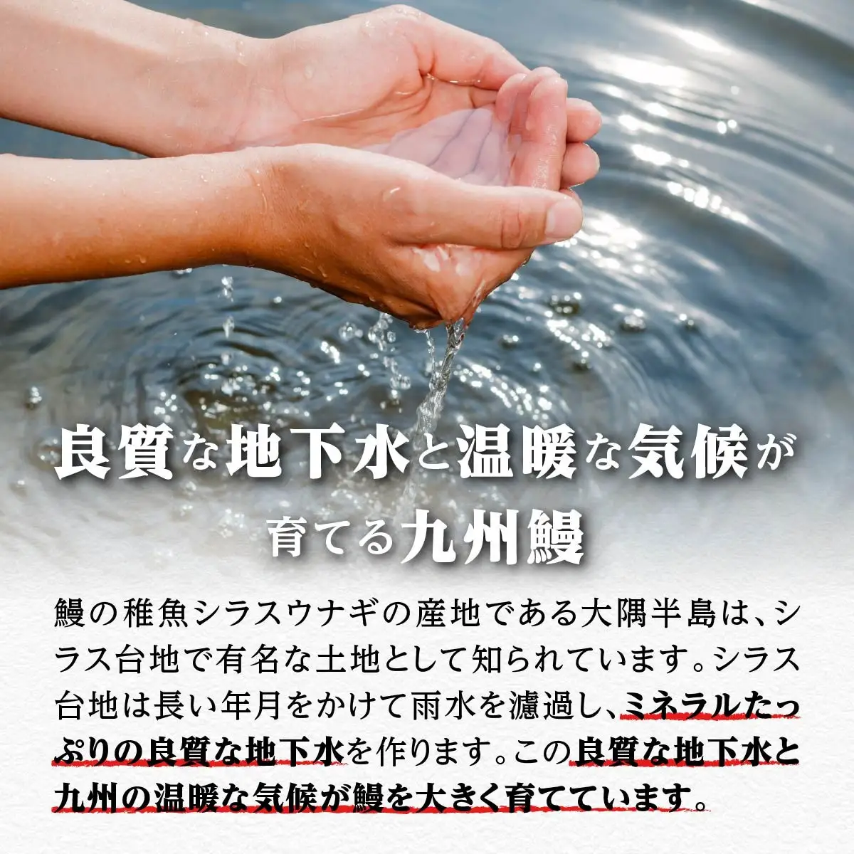鹿児島県大隅産 うなぎ 備長炭手焼蒲焼３尾(合計450g以上)｜うなぎ