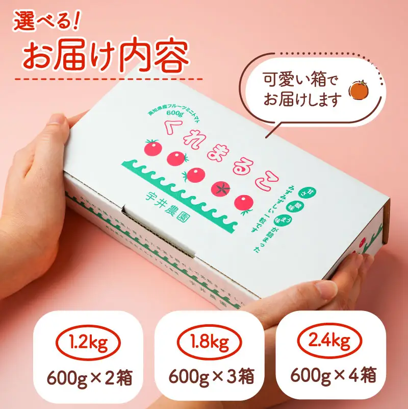 【先行予約】 フルーツミニトマト くれまるこ 1.2kg ミニトマト