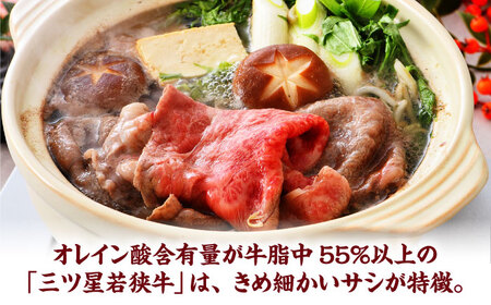 三ツ星若狭牛ロースまたは肩ローススライス550g｜牛肉 和牛 焼肉 ロース 肩ロース スライス 若狭牛お肉 肉 肉セット 冷凍 550g ブランド牛 牛丼 炒め物 三ツ星牛 三ツ星 ギフト 贈答 [BFAP005] 【配送不可地域：北海道・沖縄・離島】 