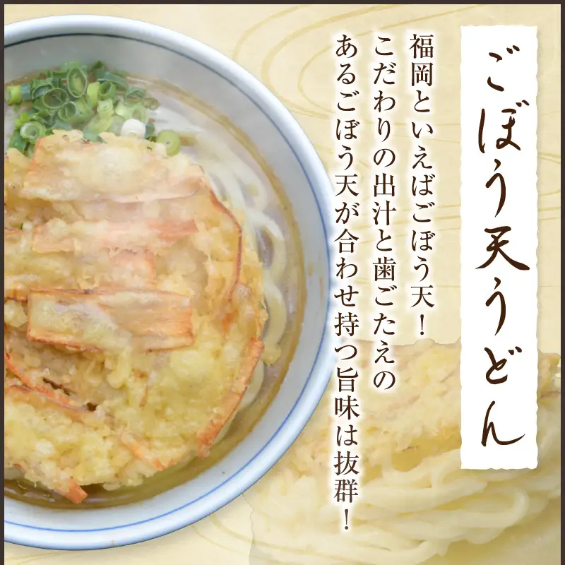 うどんそば処 あぐんちゃ 冷凍 ごぼう天うどんと肉うどん（４食）【A5-442】