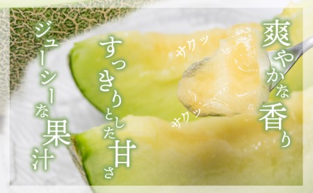 幸せの「タカミメロン」3玉～4玉（約2kg以上） フルーツ 果物 