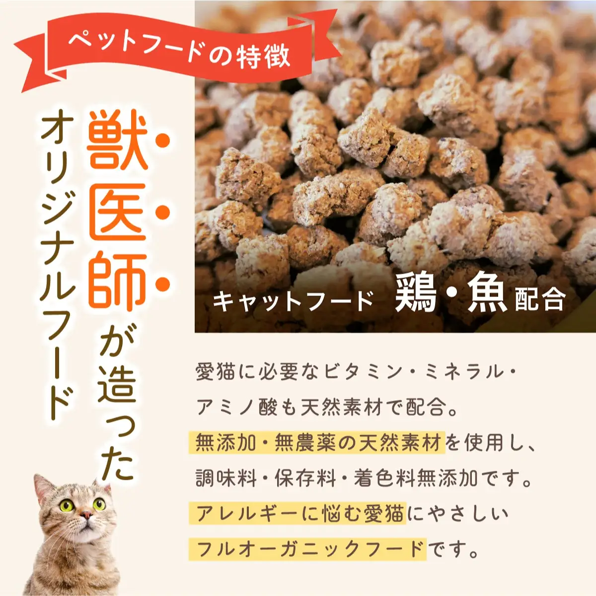 フルオーガニックキャットフード / 500g入  2袋セット