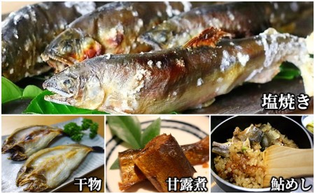 生産者直送こだわりの「信州あゆ」冷凍10尾入り アユ 鮮度抜群 旬 旨みが濃い 鮎の塩焼き 鮎めし 魚介 個包装 長野 信州 上田市