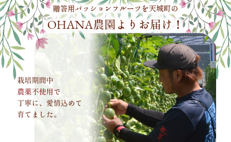 【2026年発送】先行受付 徳之島 天城町 パッションフルーツ1kg(贈答用) OHANA農園 フルーツ パッション BO-1-N