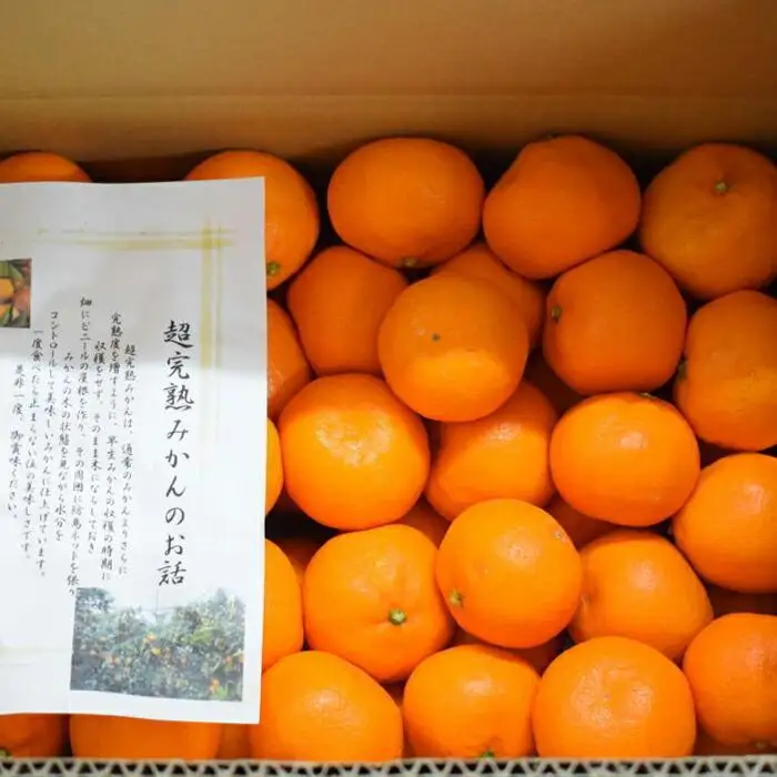 ［濃厚・まろやか］有田産樹上越冬完熟みかん5kg（L～2Lサイズ混合・秀品）★2027年1月下旬頃より順次発送