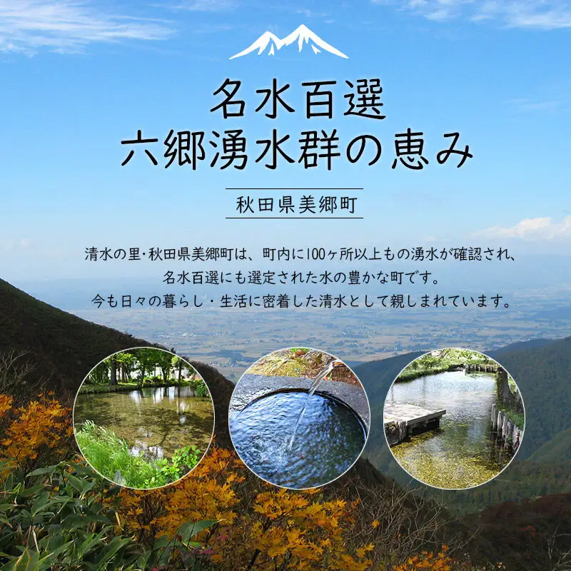 《定期便6ヶ月》ニテコ炭酸水 レモンフレーバー 300ml×6本セット あきた美郷づくり