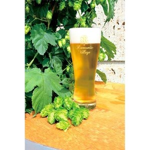 宇都宮 クラフトビール オールスター10本セット(各330ml)【 ビール ギフト 飲み比べ 栃木県 宇都宮市 】※離島への配送不可