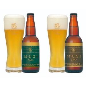 宇都宮 クラフトビール 宇都宮産麦芽100%コンビ 10本セット(各330ml)【 ビール ギフト 飲み比べ 栃木県 宇都宮市 】※離島への配送不可