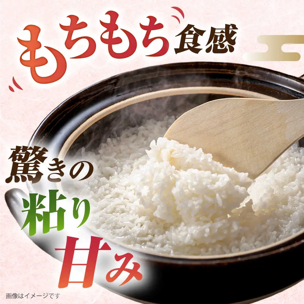 【全9回定期便】ミルキークイーン 10kg （ 5kg × 2袋 ） 糸島市 / 玄米・精米専門店 新飼宗一郎商店 米 白米 [ADE015]