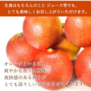 希少な柑橘!紀州有田産ブラッドオレンジ約3kg 【ご家庭用】※2027年3月上旬頃〜3月下旬頃に順次発送 (お届け日指定不可)【uot771】