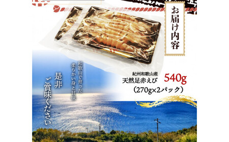 紀州和歌山産天然足赤えび540g（270g×2パック）化粧箱入 ※2026年12月上旬～2027年2月上旬頃順次発送予定（お届け日指定不可）（お届け日指定不可）／海老 エビ えび クマエビ 足赤 天然 おかず【uot772C】