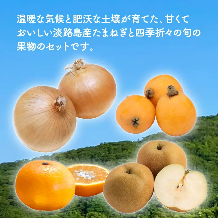 淡路島産たまねぎ5kgと旬の果物少々セット