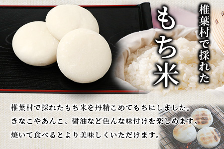 焼畑農家がつくった 白もち 10個【日本三大秘境の地「椎葉村」からお届け】餅 もち モチ 白餅 YS-48