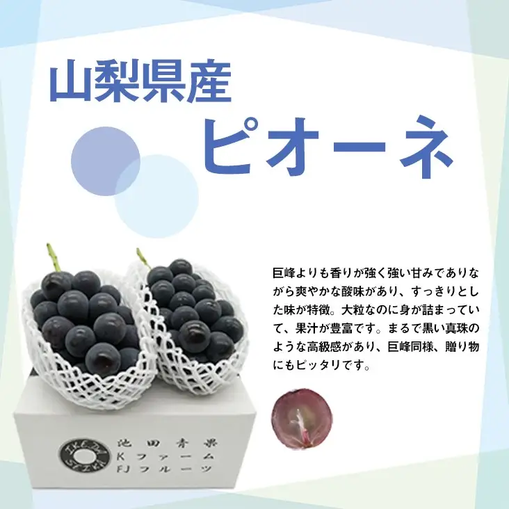【2026年発送★先行予約】厳選!! 池田青果のピオーネ　1.0kg　2房173-008
