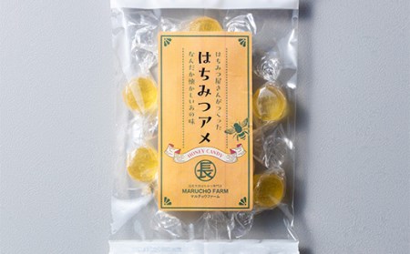 はちみつ屋さんが作った懐かし味のはちみつ飴5パック ふるさと納税 ハチミツ 蜂蜜 F20C-701