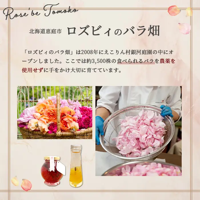 ローズシロッププチ（レオナルド・ダヴィンチ）50ml×1本【19003401】