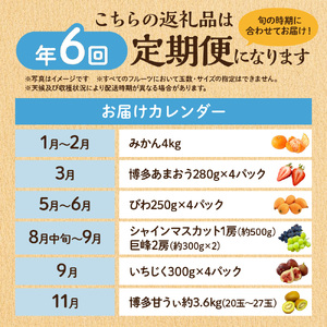 【定期便/年6回】フルーツ むなかた旬のフルーツ6回定期便 _HB0090