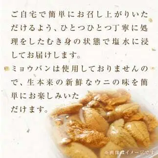 生うに 160g（80g×2）塩水 宮城県産 生ウニ 雲丹 うに ウニ
